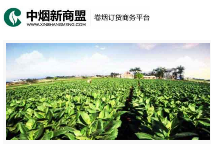 中烟新商盟卷烟订货商务平台-幸运彩票手机版